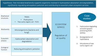 Microbiomes of urban trees: unveiling contributions to atmospheric pollution mitigation